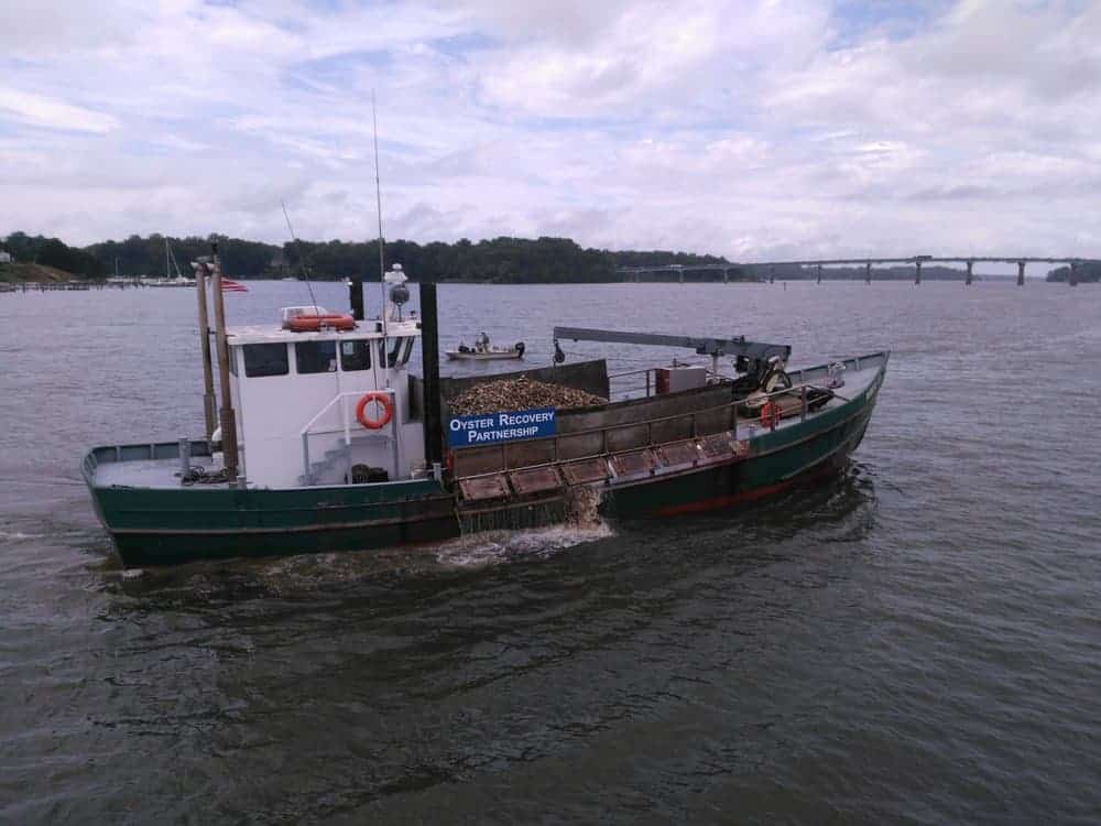 The Robert Lee loaded with 11 million juvenile oysters