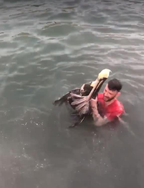 Screen shot from the video posted to Hunter Hardesty’s Facebook page, which led to animal cruelty charges in Key West.
