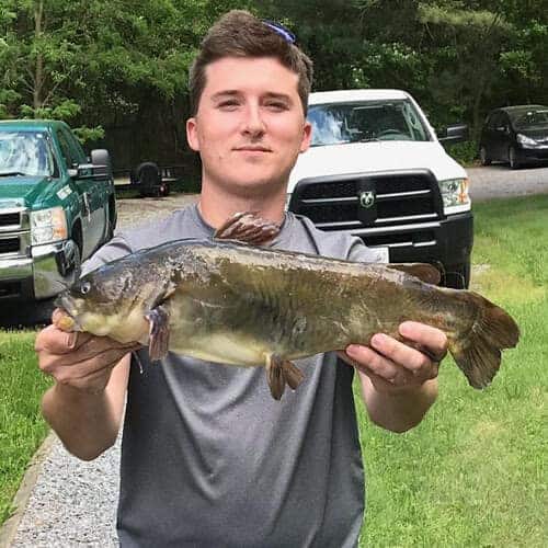 Nick Palese of Baltimore City claimed the state’s non-tidal record for bullhead catfish by landing a 4.94-pounder on May 18 while fishing from his kayak at Big Gunpowder Falls in Baltimore County. Photo courtesy Nick Palese/Maryland Department of Natural Resources