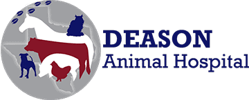 Animal hospital in Floresville TX