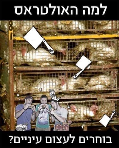 אולטראס עוצמים עיניים 400