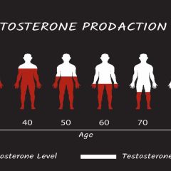 Natural Ways To Boost Testosterone Levels