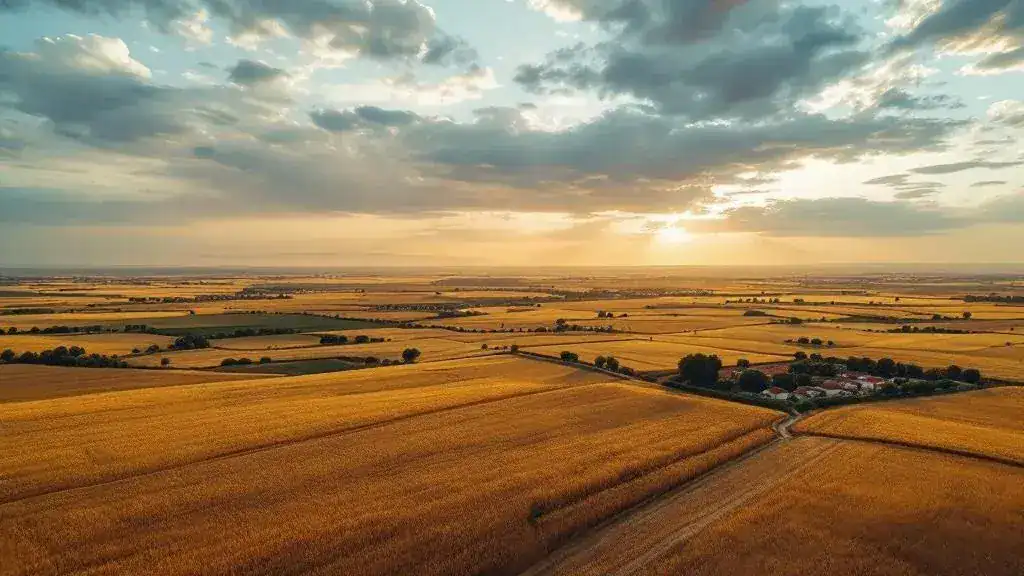 Vista aérea de los campos de La Mancha en Albacete, fotografía drone paisaje Castilla-La Mancha