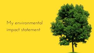 My environmental impact statement