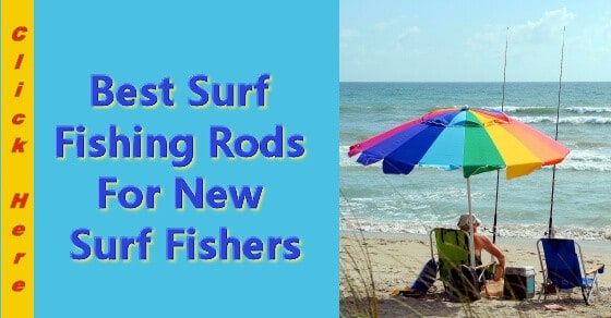 Best Surf Fishing Rods For New Surf Fishers