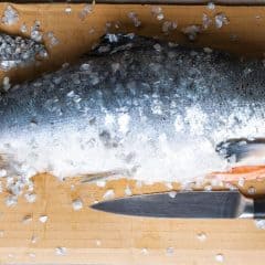 Fish Cleaning Table With Sink