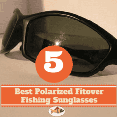 Five Best Polarized Fitover Fishing Sunglasses