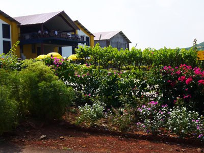 Top Indian Couple Blog by Nisha Jha and Vasudevan R - Sula Vineyards, Nashik