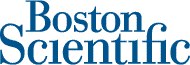 Boston Logo