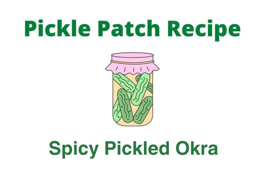 Pickle Patch Recipe Spicy Pickled Okra Nancy Dru
