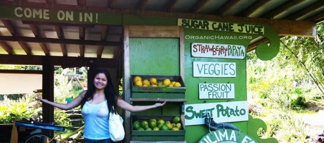 Say No To GMO - song!
