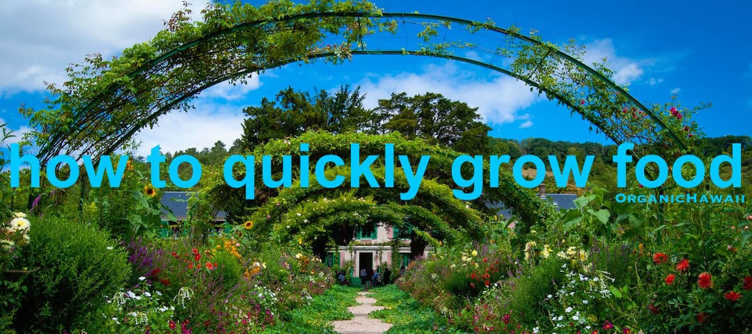 how to quickly grow food