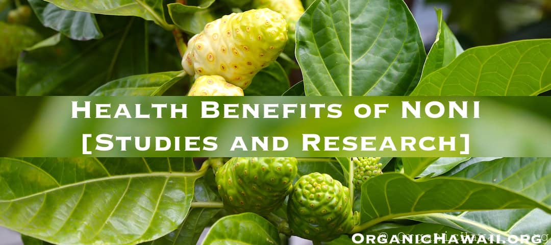 noni health benefits research studies