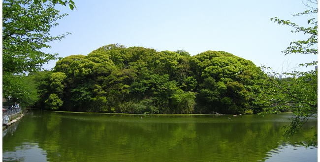 「天王寺・岡山の戦い～真田幸村最後の雄姿」のアイキャッチ画像