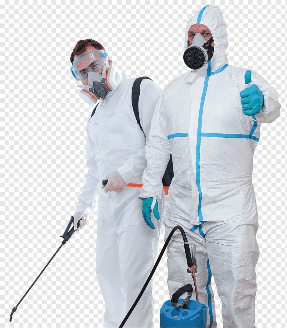 Pulvérisateurs insecticide, exterminateurs en protection complète contre les parasites, professionnels en lutte antiparasitaire, équipe d'extermination professionnelle en tenue de protection, services d'extermination contre les nuisibles, relevance.