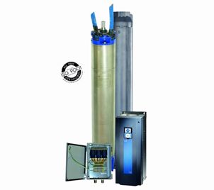 Sistem de înaltă eficiență REW PM de 8 " – Franklin Electric