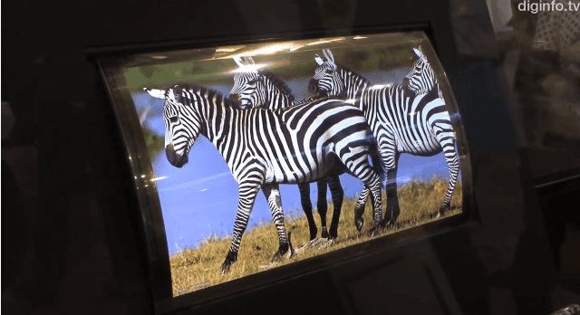 SEL flexible display