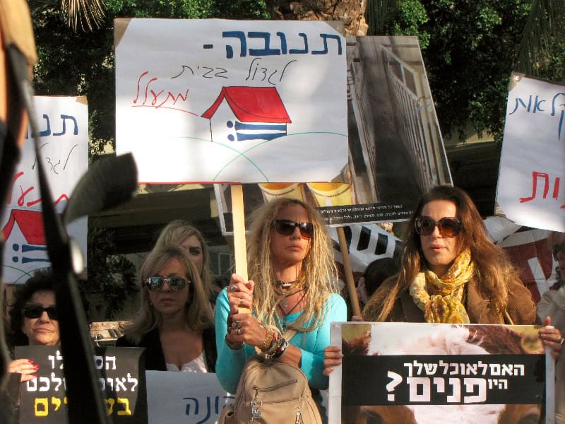 הפגנת נגד תנובה 10-12-12