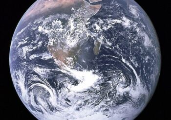 Tutoring Services for Organizations globally