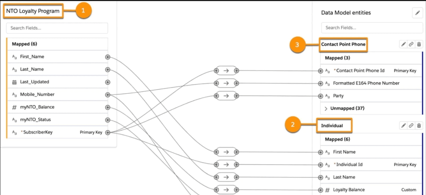 Data Readiness & Salesforce Object Mapping