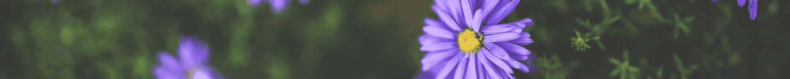 Women & Spirituality Conference