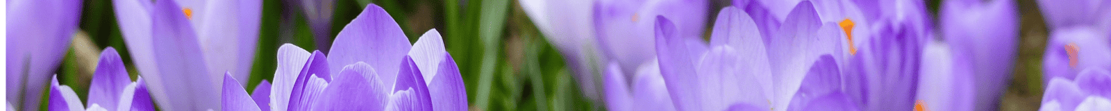 Category: <span>2024 Session TWO</span>