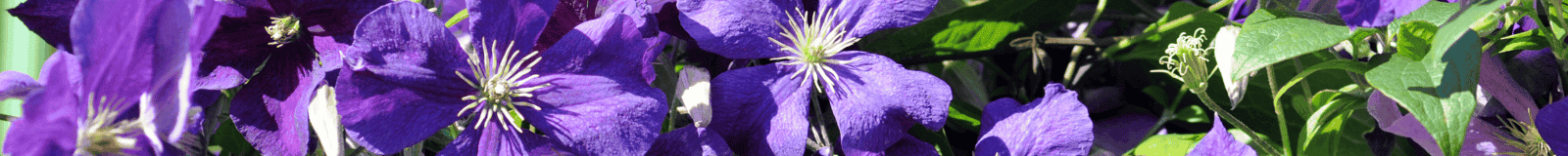 Category: <span>2024 Session FOUR</span>