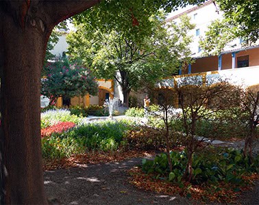 Van Gogh - Garten des Hospitals von Arles Van Gogh - Garten des Hospitals von Arles