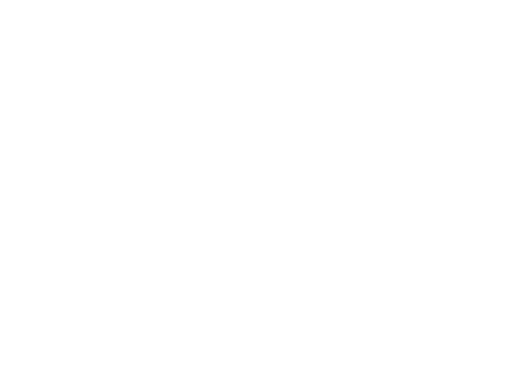 Logo Chinola Studio, agence photo et video a Perpignan