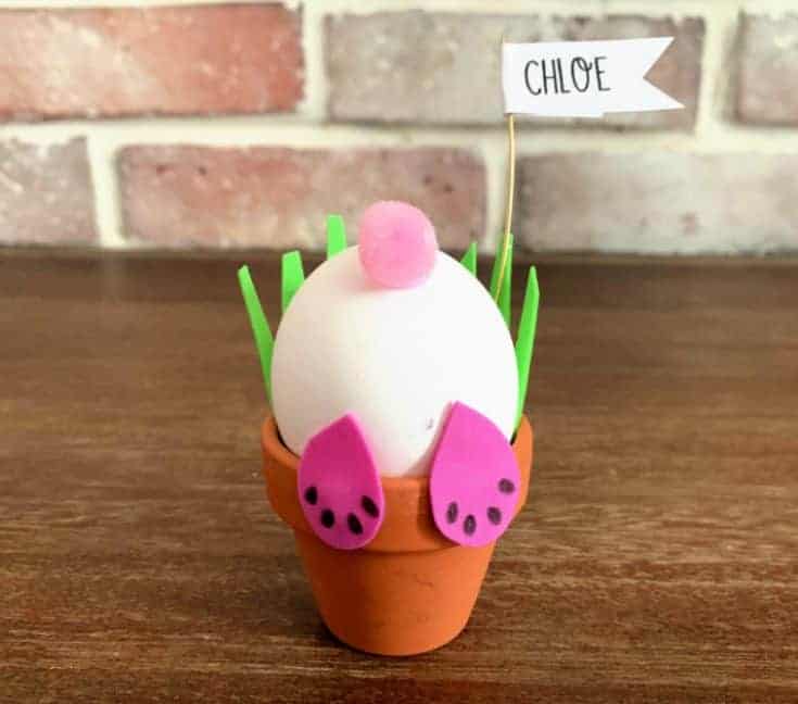 bunny place holder on table top