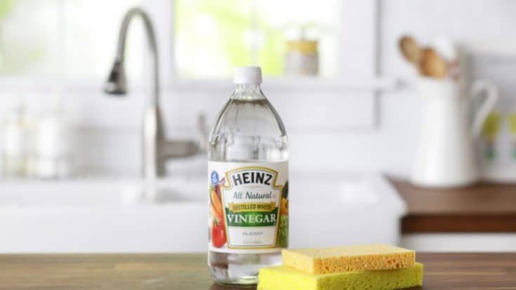 vinegar on counter