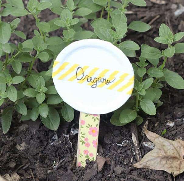 herb garden marker in the garden