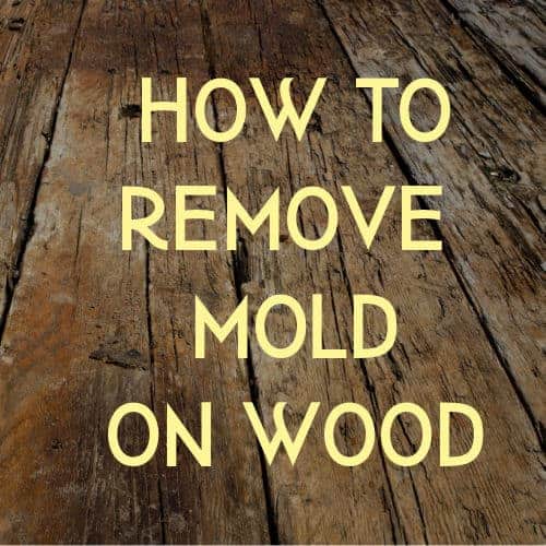 mold on wood instruction graphic