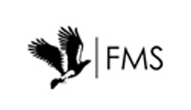 FMS Executive MBA