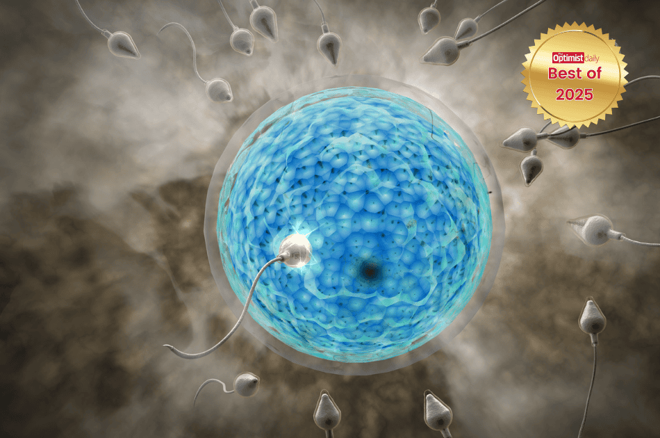 First hormone-free male birth 