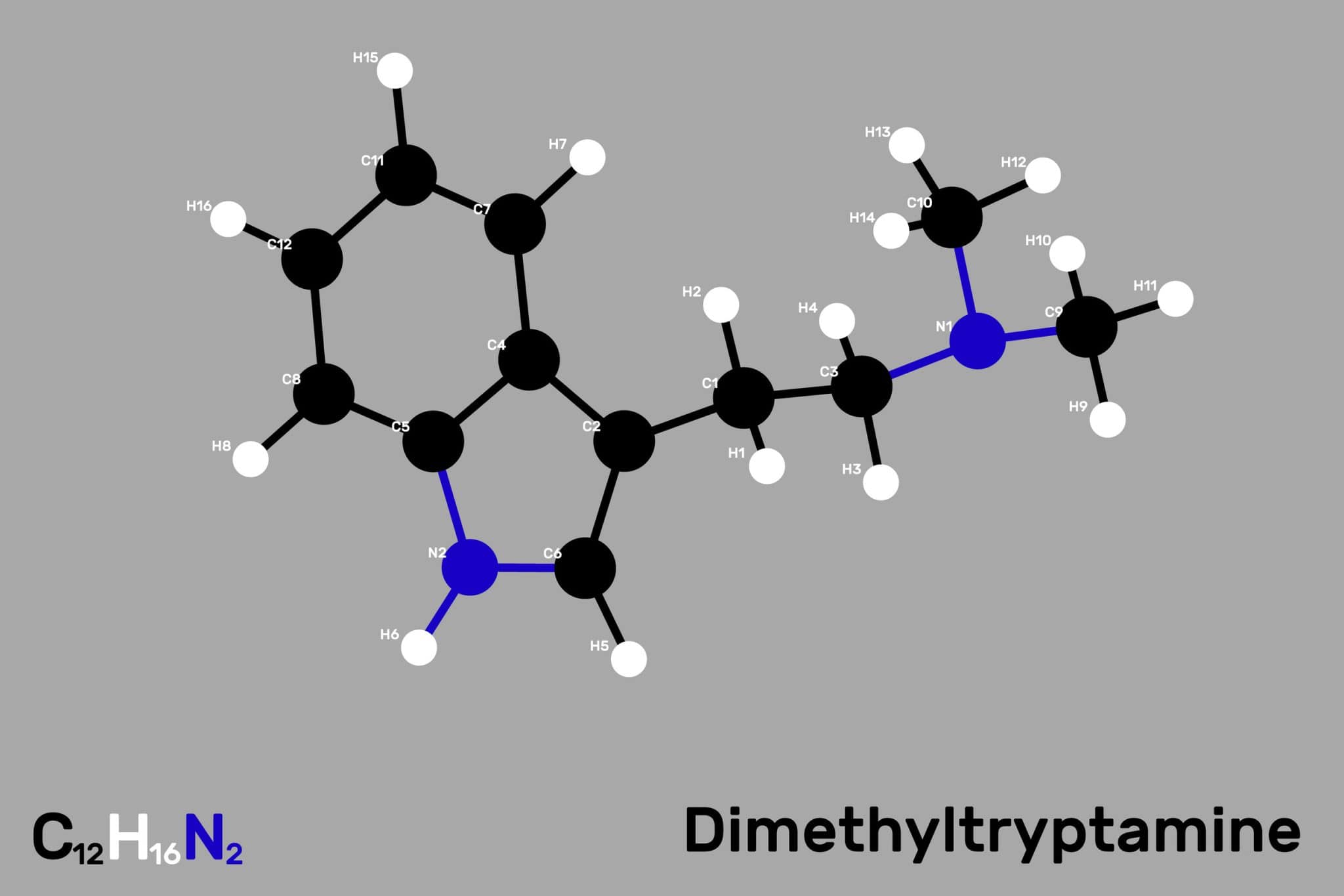 Single dose of DMT shows promi