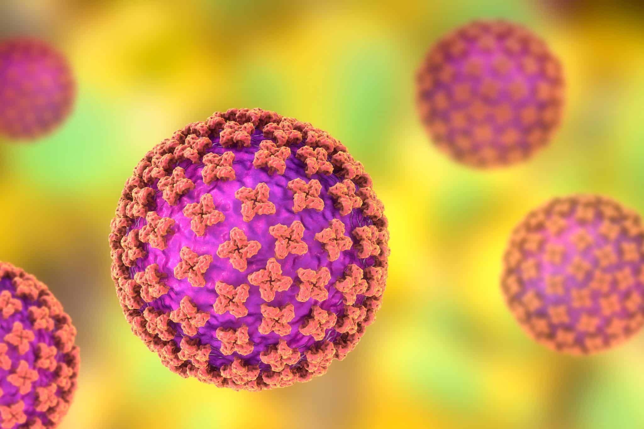 Why experts say the hantavirus