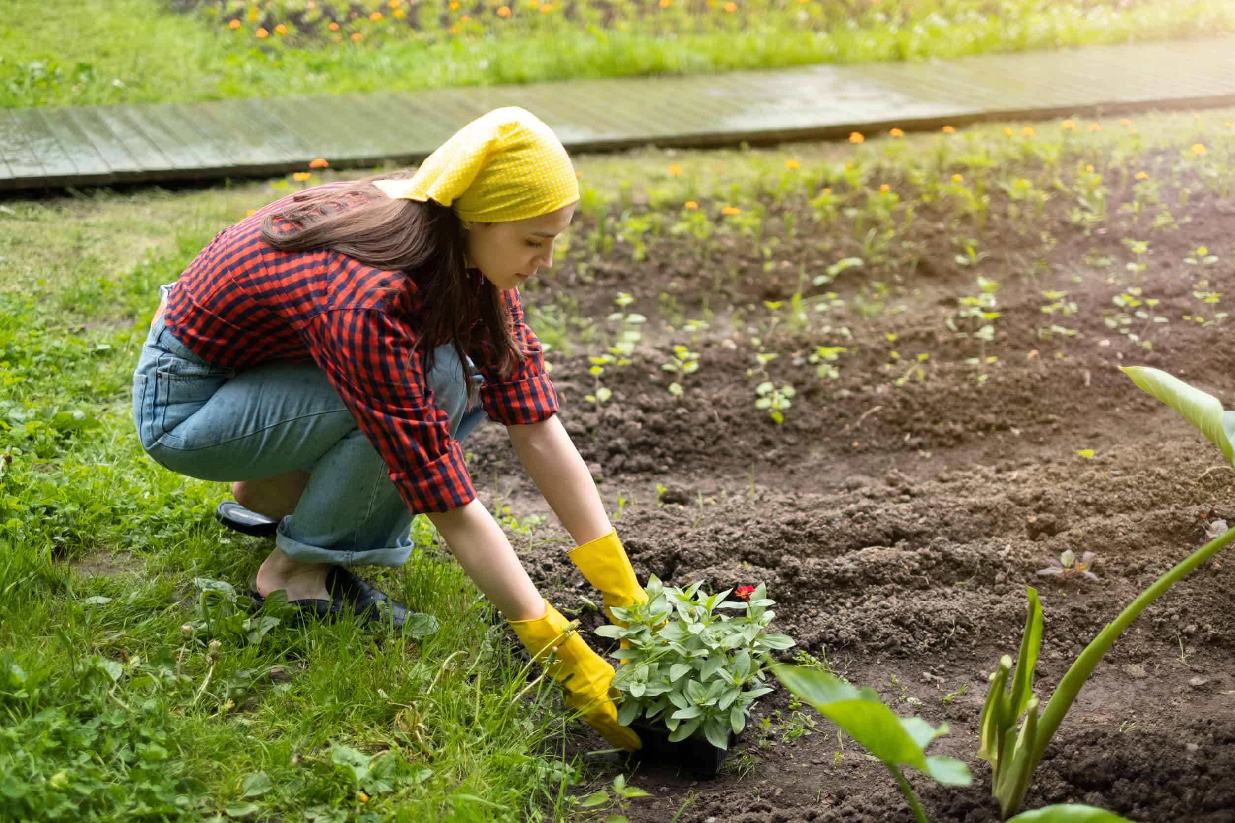 Is gardening the most underrat