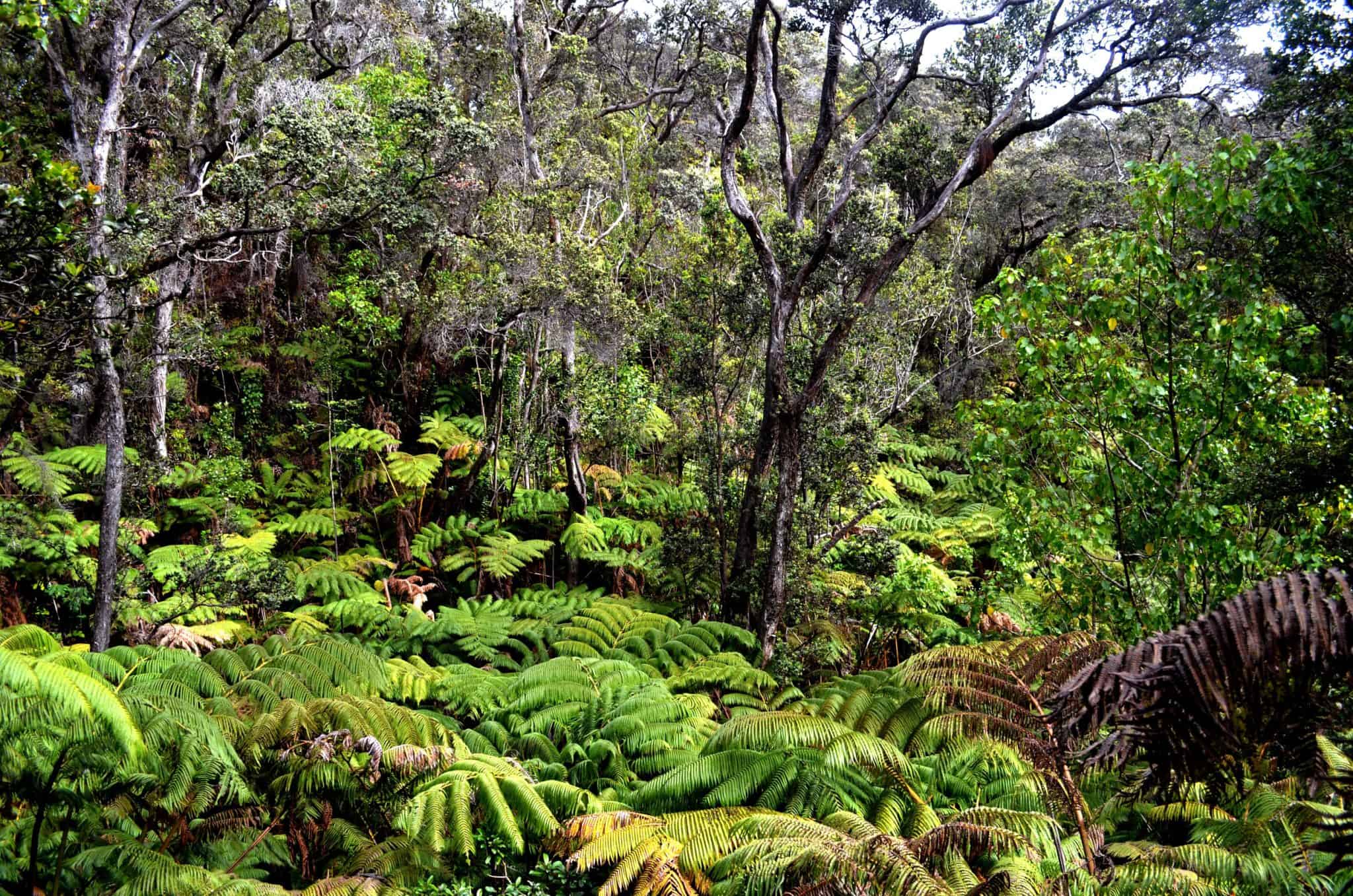 How paying people to protect a