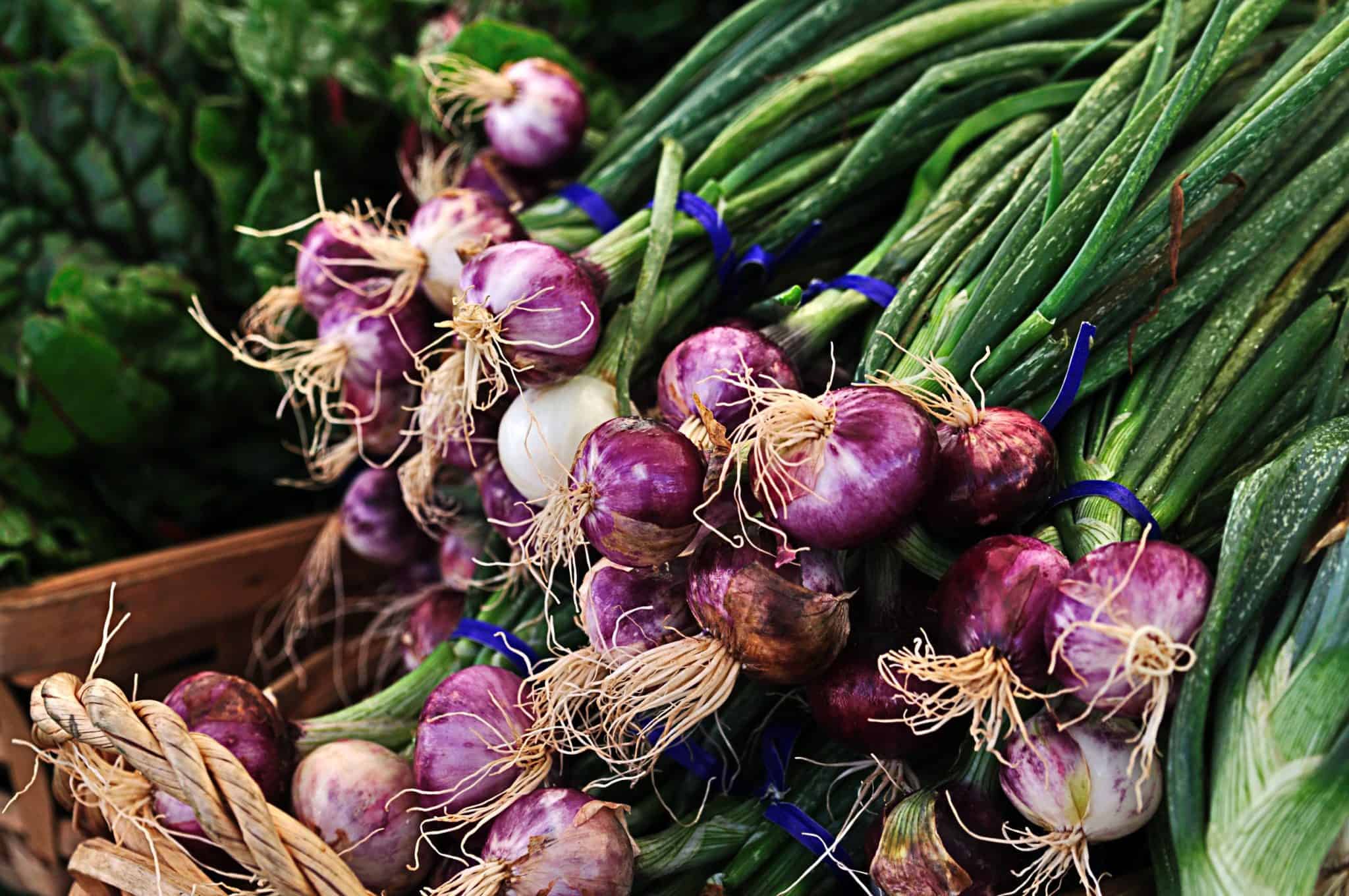 Bundle of purple onions with green stalks tied with blue ties at a market stall