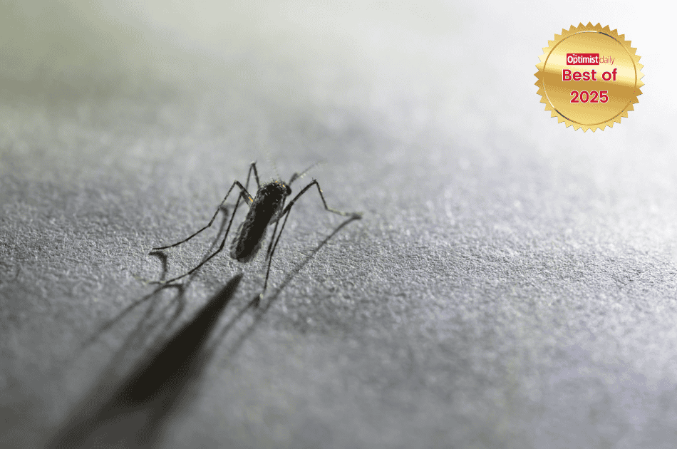 A microscopic upgrade with mas