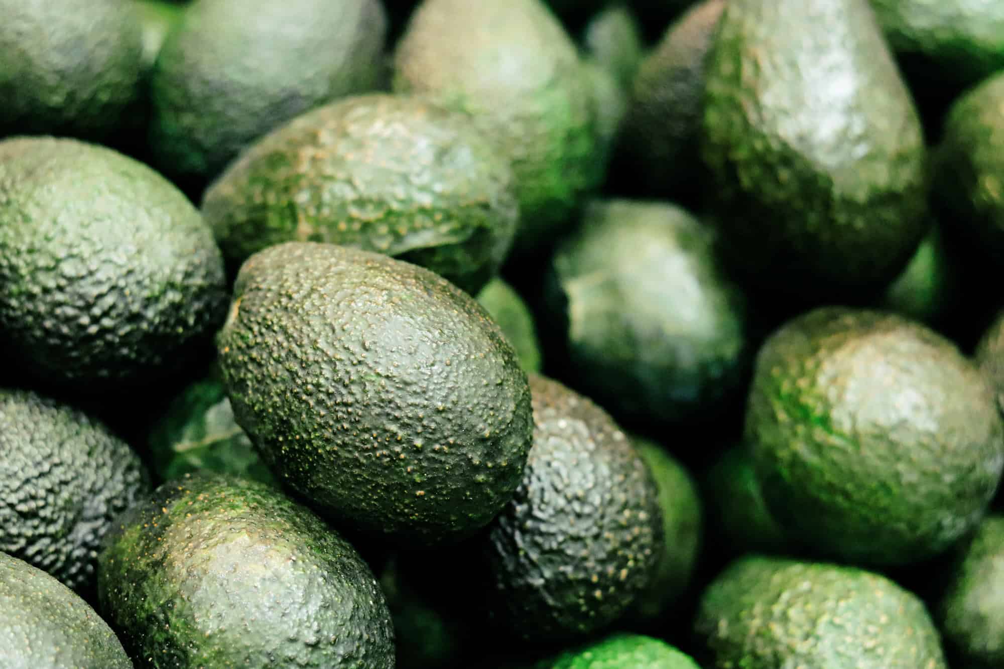 Close-up of green, pebbly-skinned avocados piled together in a heap.