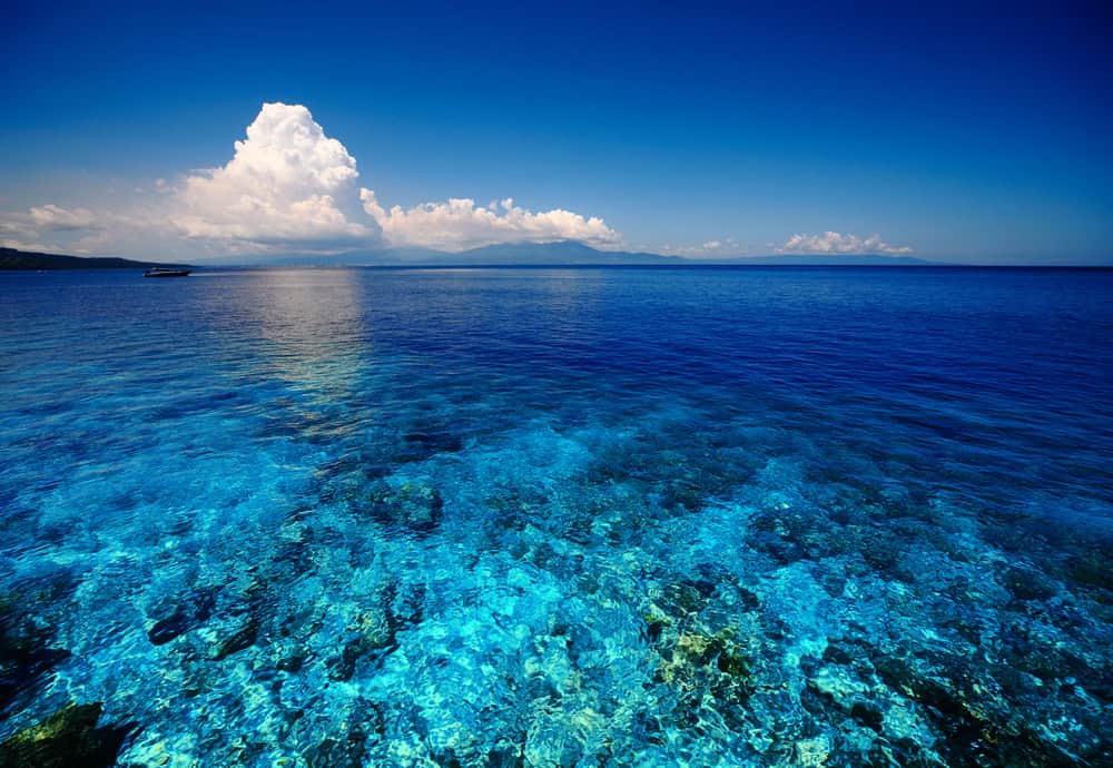 These Indigenous women are hel