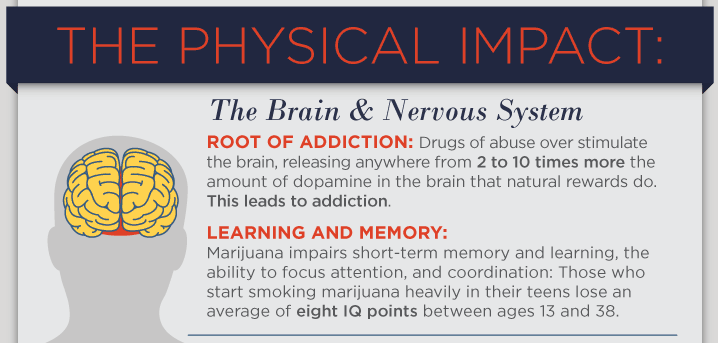 how does drug use affect your brain