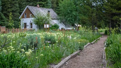 Vail Nature Center