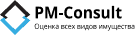 Логотип ПМ-Консалт