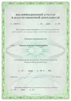 Квалификационные аттестаты Ларкин А.А.