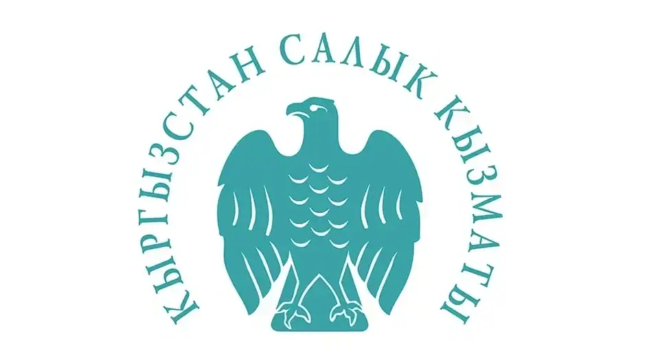 Требования Налоговой службы КР