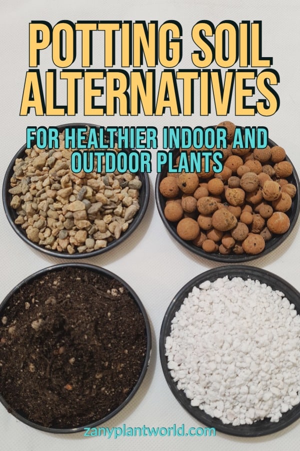 12 Potting Soil Alternatives For Healthier Indoor And Outdoor Plants