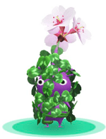 Pikmin Bloom ピクミンブルーム で四葉のクローバーの詳細やゲットする方法について解説 App Story
